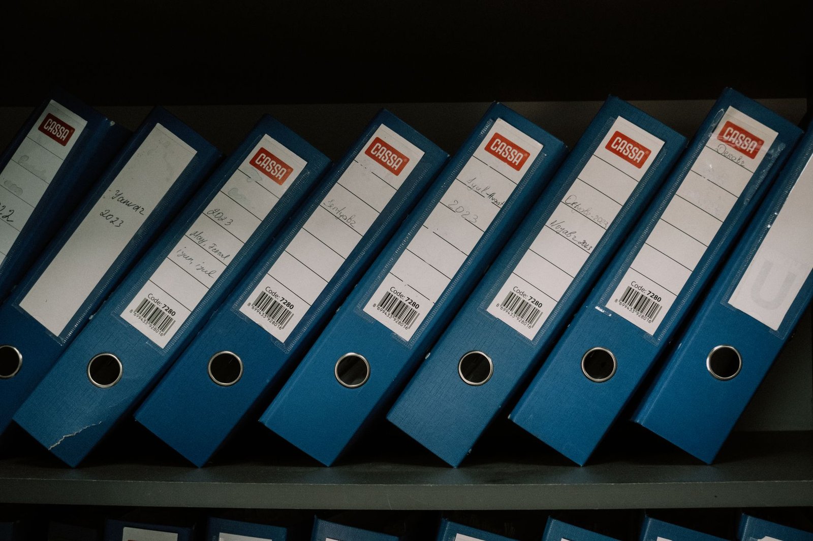 The Secret Life of Game Save Files